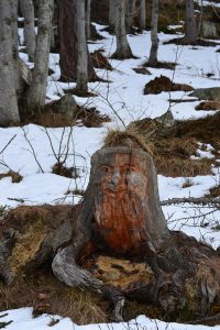 Gutwiarhini, Holzfigur im Val Quarazza