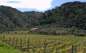 Agriturismo Antica Tindari