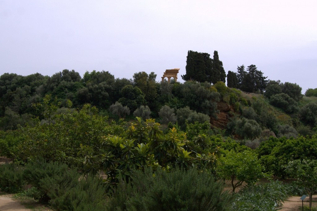 Garten der Kolymbetra