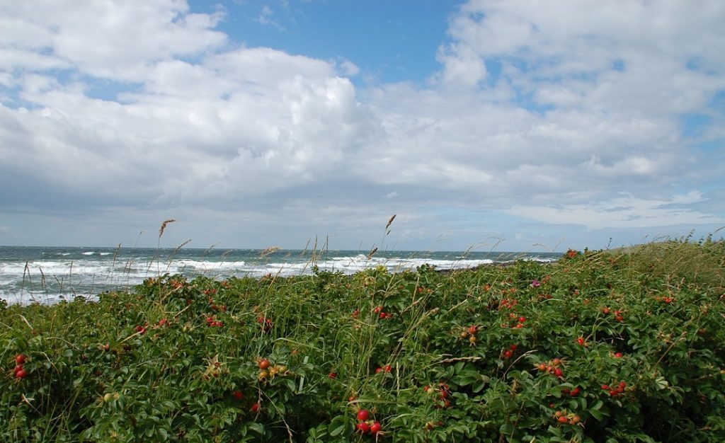 Ostseestrandpromenade